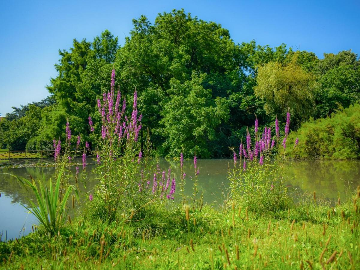 Casa Paradiso: Un'Oasi Di Relax شْنيسيلّو بالسامو المظهر الخارجي الصورة
